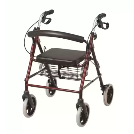 Poylin P580 Ekonomik 4 Tekerlekli Rollatör