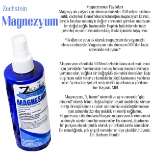 Zechstein Magnezyum Yağı (magnesium Oil) 250 Ml
